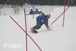 Dualsnow
