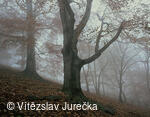 Hukvaldy 037