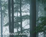 Hukvaldy 006