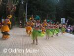 Mezinárodní folklorní festival Liptálské slavnosti