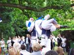 Mezinárodní folklorní festival Setkání s folklorem