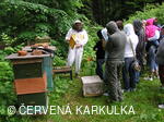 Medobraní u Perníkové chaloupky 2007