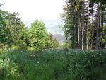 Hodslavice stezka 2008