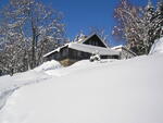 Skurečená 2009