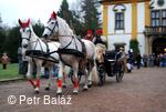 Choltice